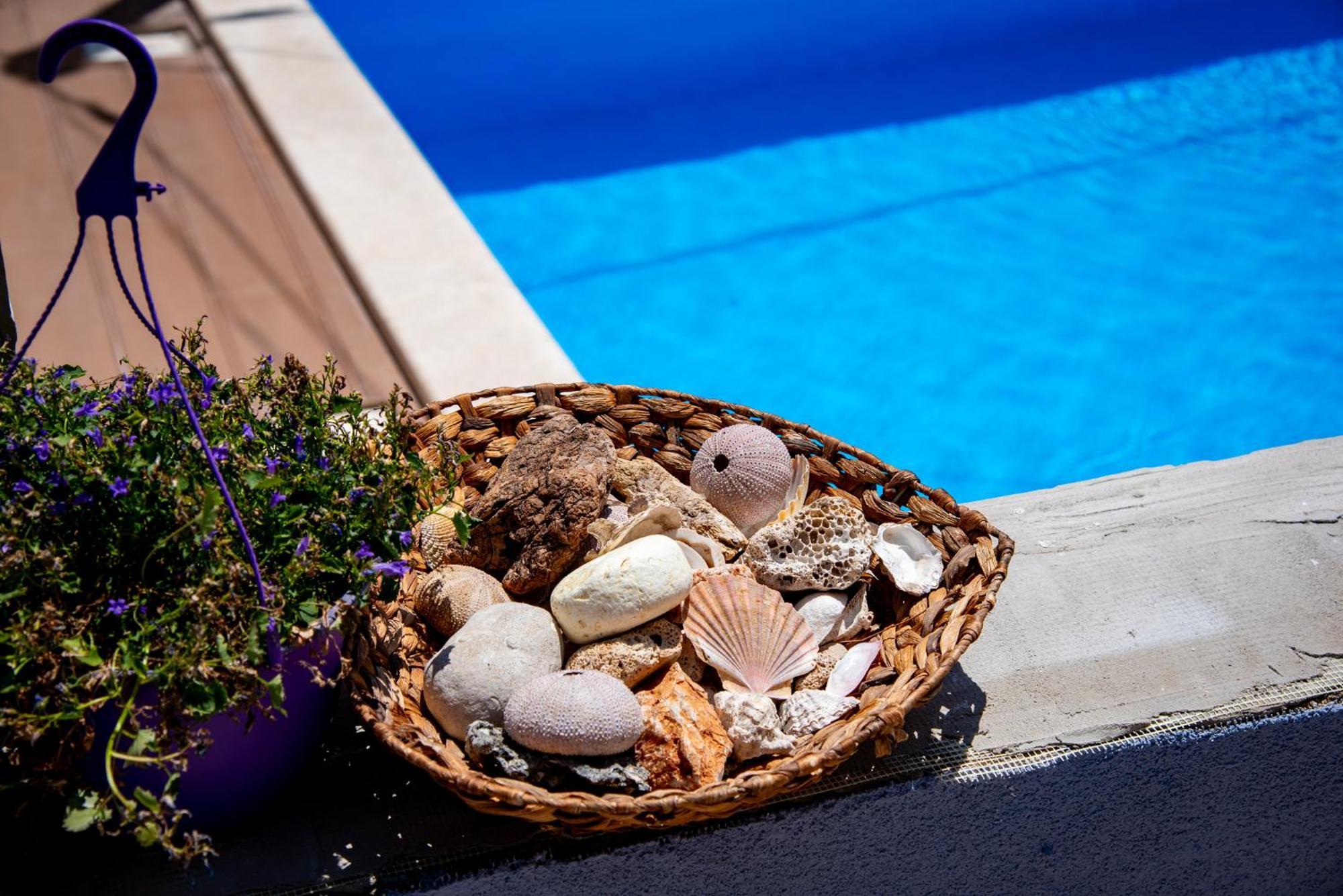 Pool Me Up! Lägenhet Šibenik Exteriör bild